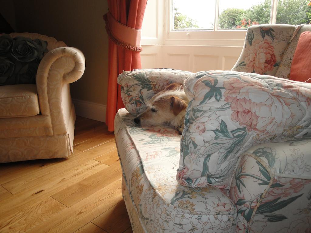 Cary Fitzpaine House Bed & Breakfast Babcary Dış mekan fotoğraf