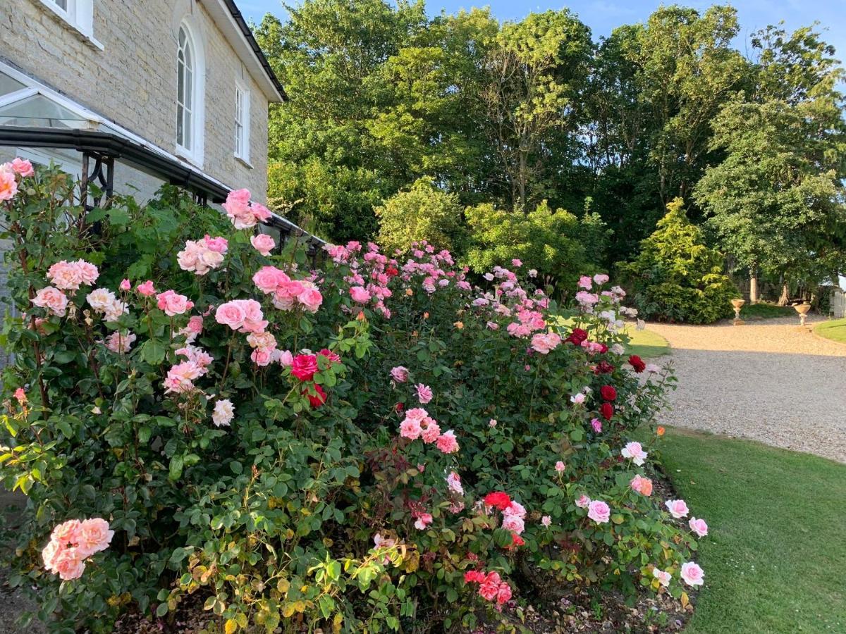 Cary Fitzpaine House Bed & Breakfast Babcary Dış mekan fotoğraf