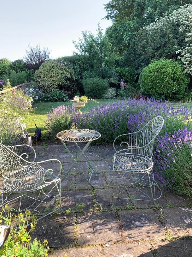 Cary Fitzpaine House Bed & Breakfast Babcary Dış mekan fotoğraf